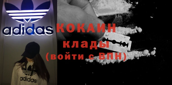 гашик Дмитров