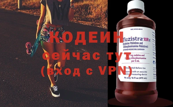 гашик Дмитров