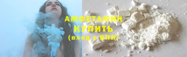 гашик Дмитров