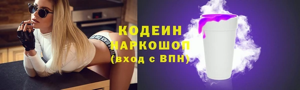 гашик Дмитров