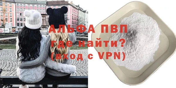 гашик Дмитров