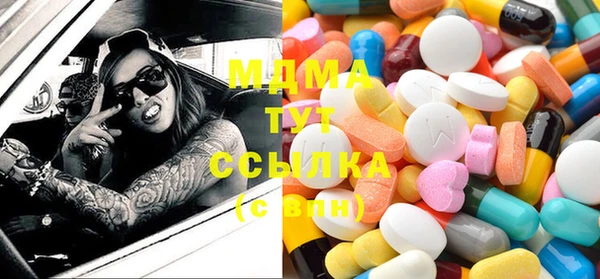 гашик Дмитров