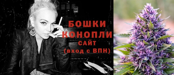 гашик Дмитров