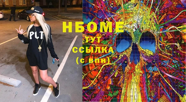 гашик Дмитров