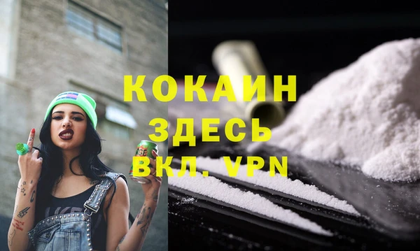 гашик Дмитров